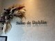 サロンドダリア(Salon de Dahlia)の写真