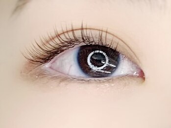 エイミー(Amy)/LED/フラットラッシュ100本