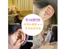 ベストボディー スリム スリム 新潟店