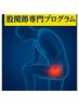 【股関節専門プログラム】 症状に合わせた専門施術★80分【8800円⇒4400円】
