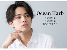 オーシャンハーブ(Ocean Harb)