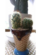 燕健友館健和堂/癒しのサボテンがお出迎え