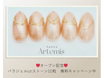 アルテミス(Artemis)/定額シンプル15種＊カラー変更◎