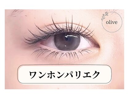 オリーブ(olive)の写真