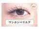オリーブ(olive)の写真