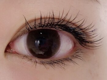 カラン 焼津店(CALIN)/フラットラッシュ120本