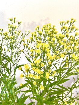 リアン ラッシュリフト(Lien LASHLIFT)/元気なカラーはパワーをくれる♪