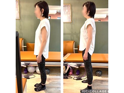 オット(OTTO)の写真