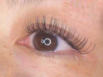 ウルカ アイラッシュ(uruka EYELASH)/フラットラッシュ　160本