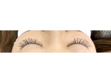 シルフ 石橋店(Sylph)/100本