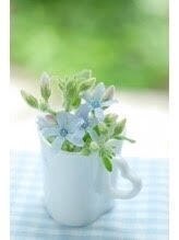 ボディスパ 天神(BODY SPA)&nbsp;下村 