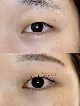 ダーム ド ローズ(Dame de rose)/【まつ毛パーマ】