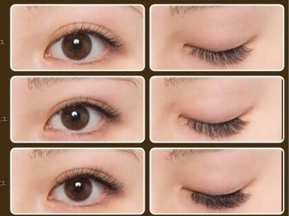 ティアーズ253150(TEARS253150)の写真