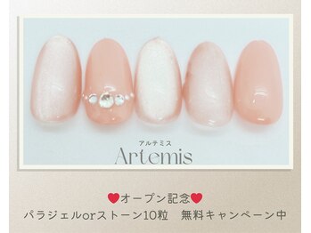 アルテミス(Artemis)/定額シンプル15種＊カラー変更◎