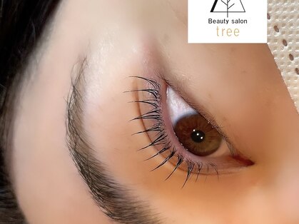 ツリー(tree)の写真