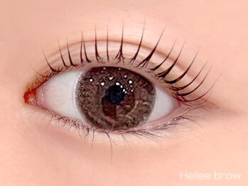 ヘイリーブロウ 名駅店/韓国風束感まつげパーマ
