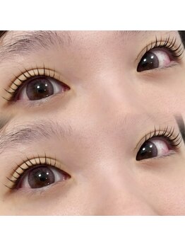 ラブニール ハトル(L'avenir Hathor)/まつげパーマ/ラッシュリフト