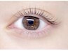 アイリストデビュークーポン　次世代まつ毛パーマ　￥3300