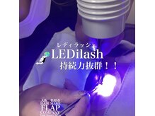 LEDの光で硬化！LEDilash(レディラッシュ)持続力抜群☆人気NO.1