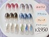 フラッシュ.ホロラメ.フレーク各グラデーション