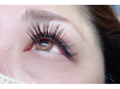 シュシュ(Chou Chou)の写真