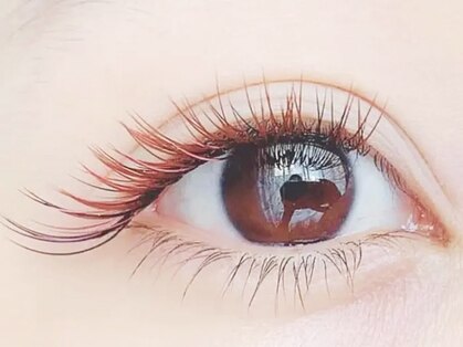 アイラッシュサロン リリィ(EYELASH SALON Lily)の写真
