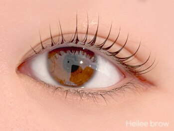 ヘイリーブロウ 名駅店/韓国風束感まつげパーマ