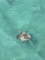 癒し～ぷ 大阪梅田店&nbsp;宮古島に行ったときに橋からウミガメ見れて大興奮でした笑