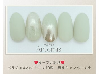 アルテミス(Artemis)/定額シンプル15種＊カラー変更◎