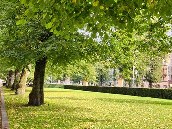 ユウキシキ(YUKISIKI)/YUKISIKI小顔矯正&美容鍼海外OFF