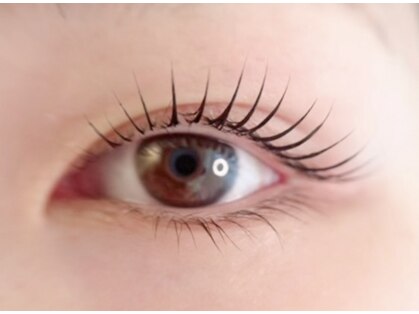 ロッティ アイラッシュ(lotti eyelash)の写真