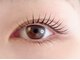 ロッティ アイラッシュ(lotti eyelash)の写真