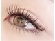 シュエット(chouette)の写真