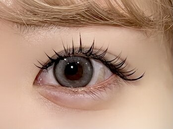 パキラ(Pachira)/短めなのにぱっちり!