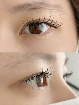 ムニ(muni)/LEDフラットラッシュ140本