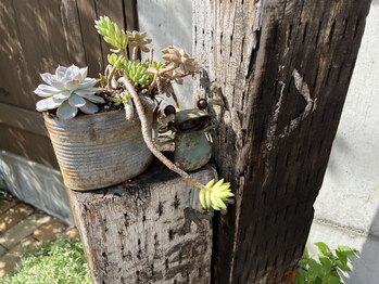 ハオン(HAON)/ハーブピーリング/ニキビ/毛穴