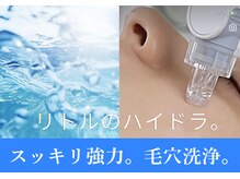 エステティックサロン リトル フォレスト(Little FOREST)