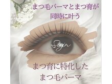 スティーン(Styin)