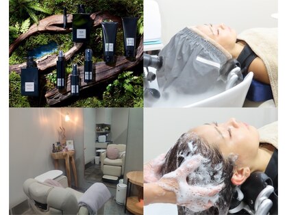 ティエラ(Tierra)の写真