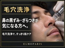 エルモパリス(ELMO PARIS)の雰囲気（毛穴洗浄/ハーブピーリング）