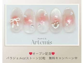 アルテミス(Artemis)/定額デザイン15種＊カラー変更◎