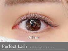 アンモス 日本橋店(Ann Moss)/圧倒的持ちパーフェクトラッシュ