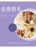 レディース全身脱毛(顔、ＶＩＯ付き)￥8800☆自己処理なしでＯＫ！