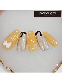 2月パラジェル定額スペシャル