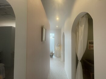 メゾン アンジュ(Maison Ange)/新店舗 MaisonAnge バスト