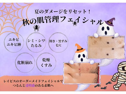 レイビス 盛岡店(RAYVIS)の写真