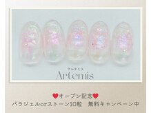 アルテミス(Artemis)/定額デザイン15種＊カラー変更◎