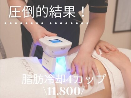 ココシア(Cocoshia)の写真