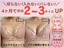 バストサロン メルベイユ(Merveile)