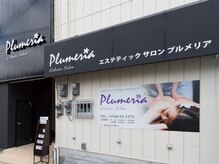 プルメリア/